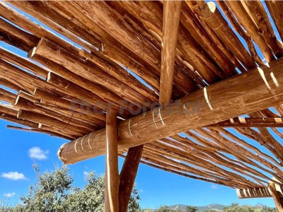 palos de eucalipto tratado en pergola exterior